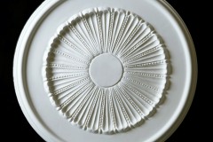 Sunflower-Center-large-540